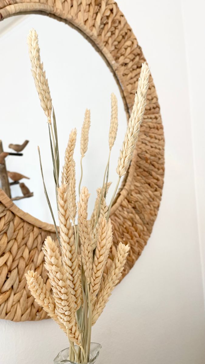 Handmade Braided Natural Boho Mirror