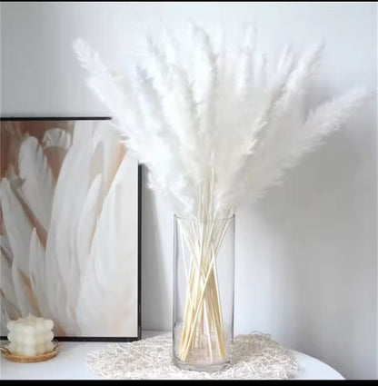10 Pieces Dried Mini Pampas Grass