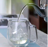 Double Wall Glass Cup