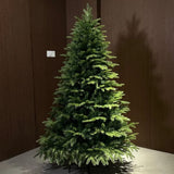 Encryption Large Christmas Tree