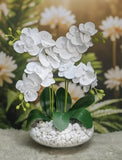 Glass Vase with Orchid Flowers