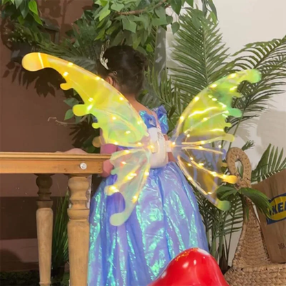 Butterfly Wings