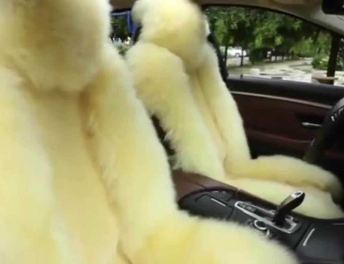 Sheepskin Car Seat Cover