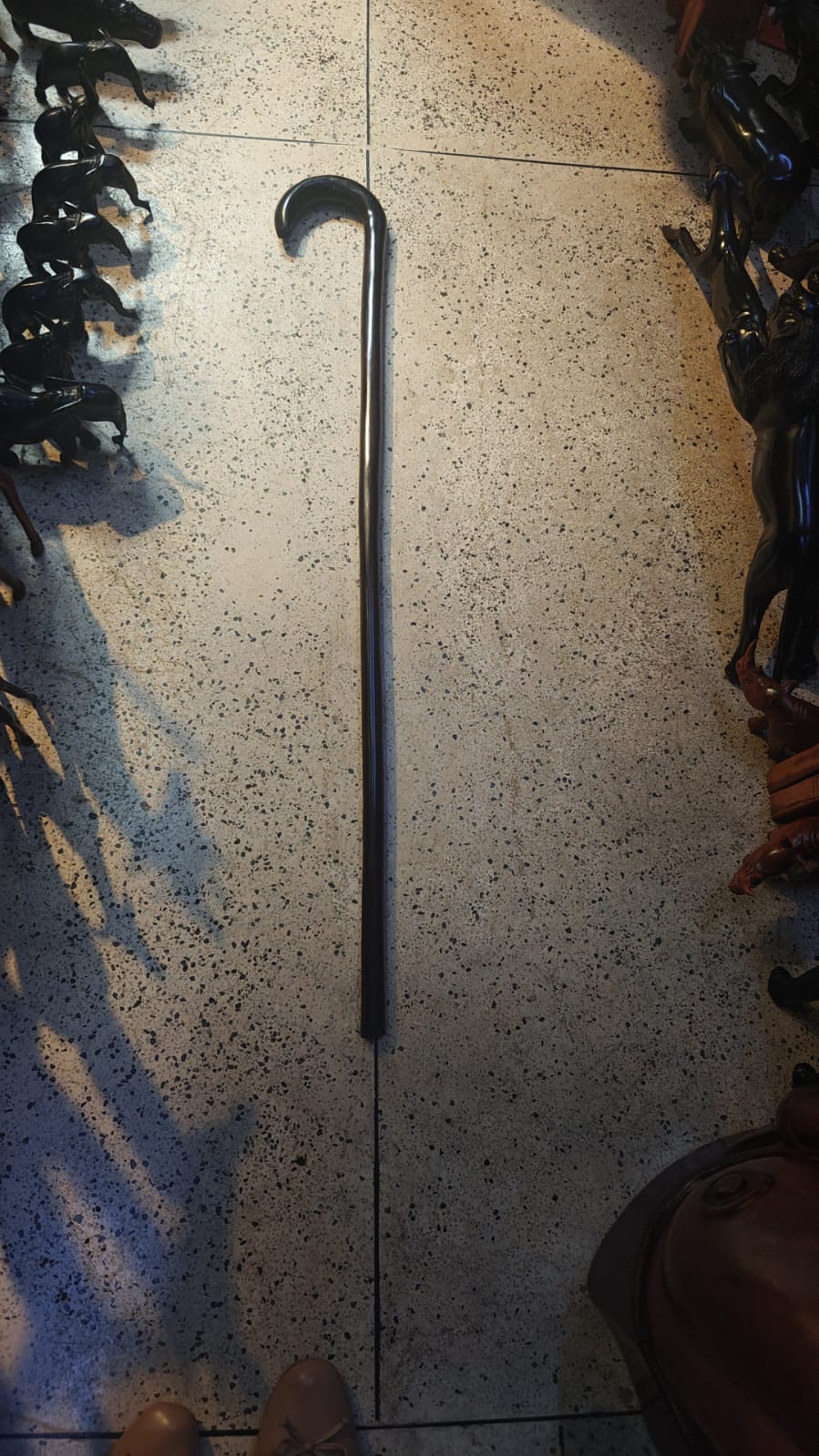 Wooden Walking Stick