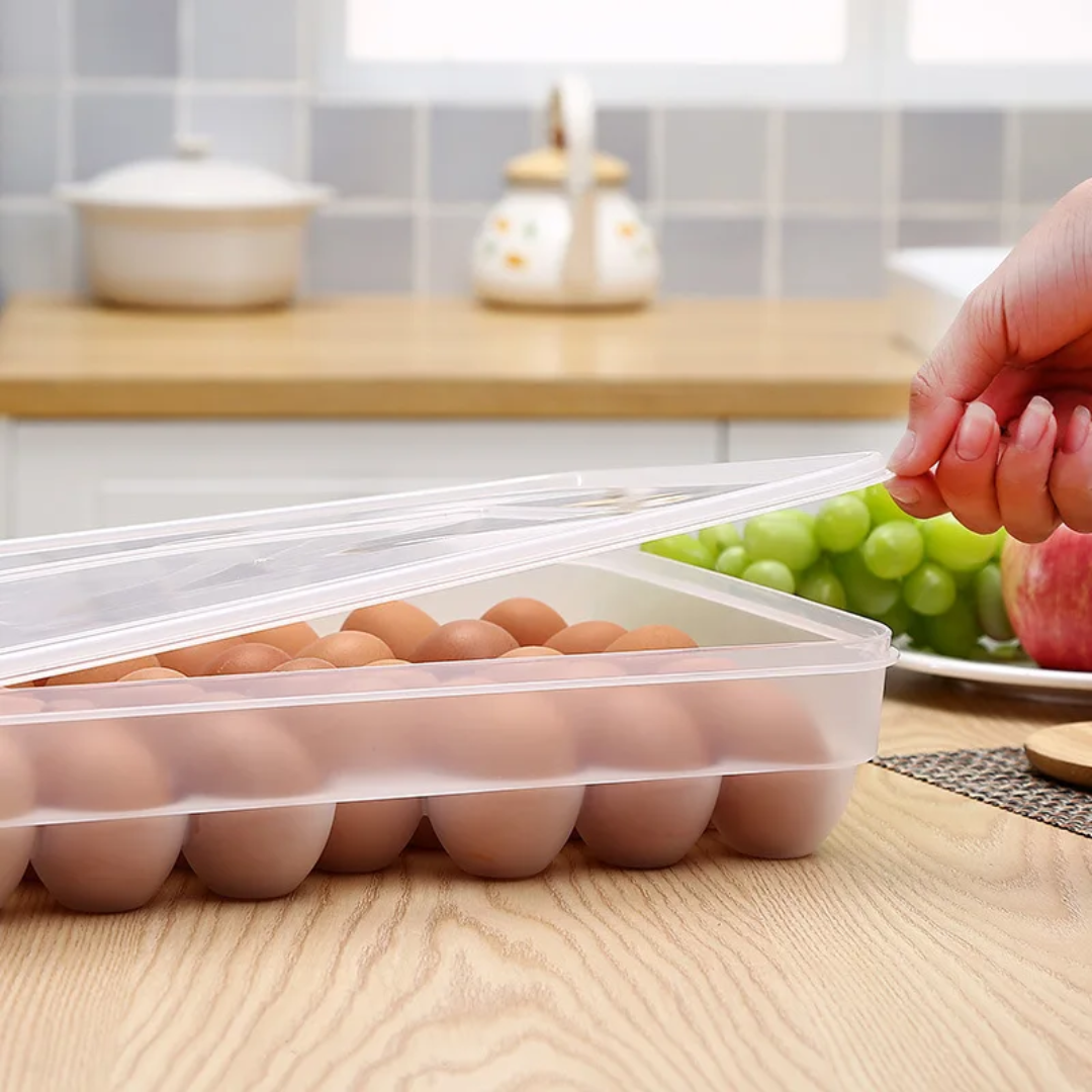 Egg Tray