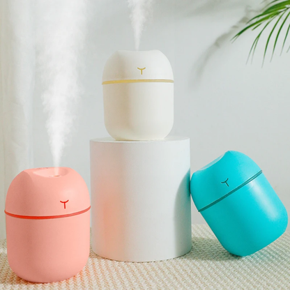 250ml Mini USB Humidifier