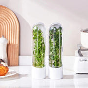 Vegetable Fresh Keeping Cup