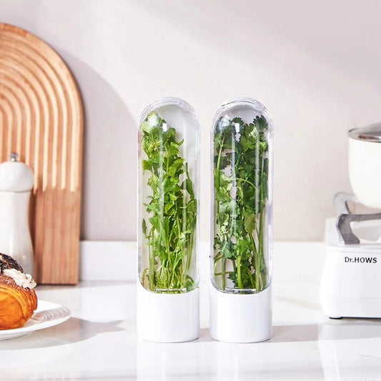 Vegetable Fresh Keeping Cup