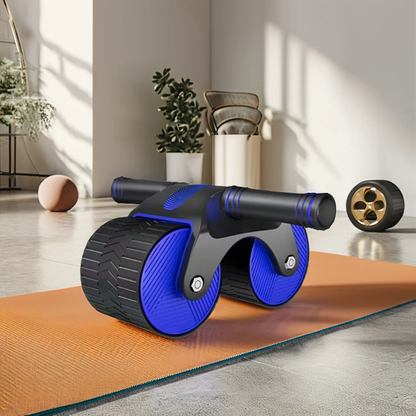 Ab Roller Coaster Wheel