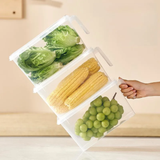 Vegetable Eggs and Meat Storage Box