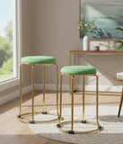 Artificial Dutch Velvet Stool with Metal Legs