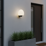 Round Globe Wall Light TG MONG-20-10-8B