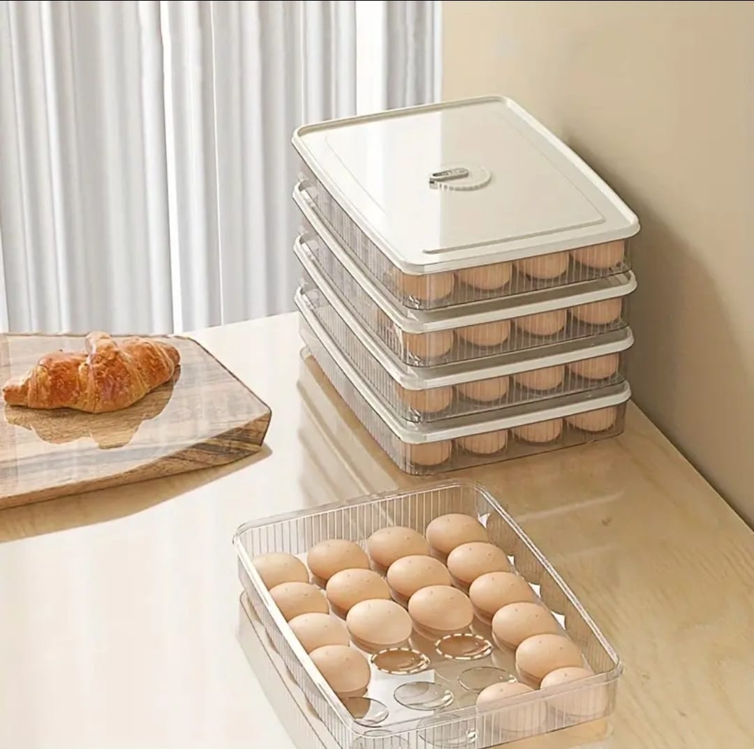Clear 24 grid egg holder with lid for refrigerator storage.