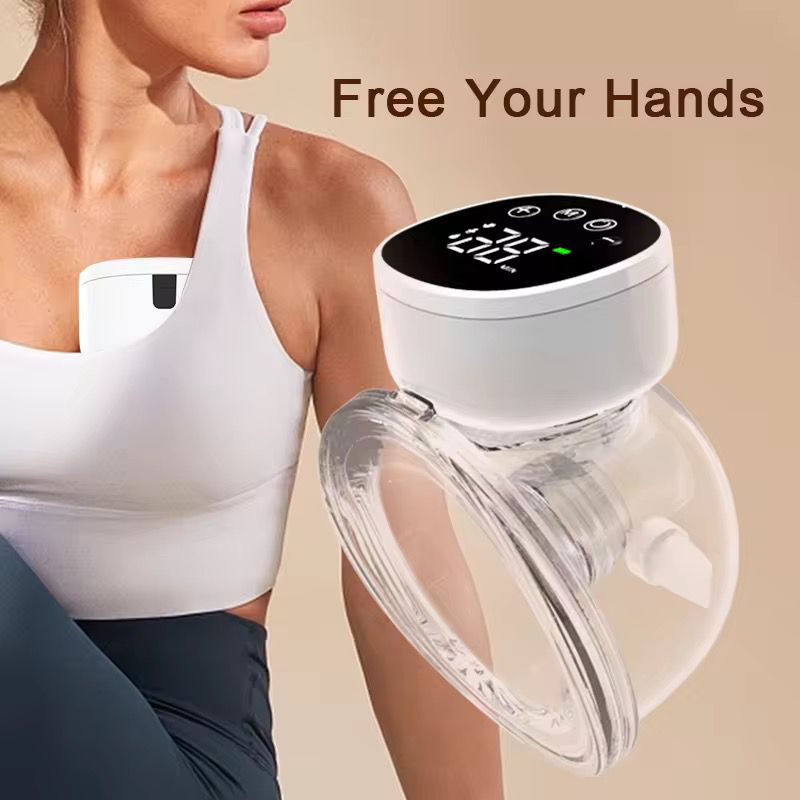 Rechargeable wearable pump