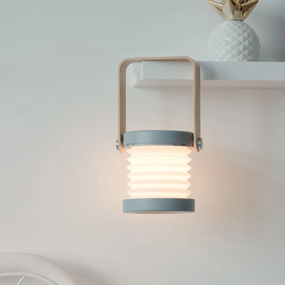 Multifunctional Rechargeable Table Lamp