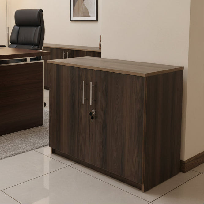 2-Door Low Office Storage Cabinet
