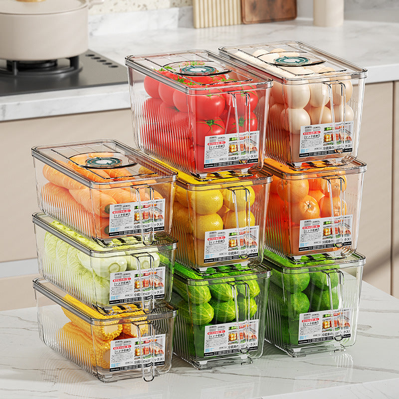 Fridge Storage Container