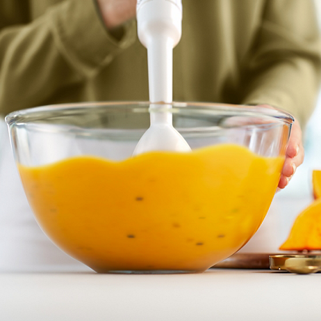 Philips Promix Handblender HR2520/01